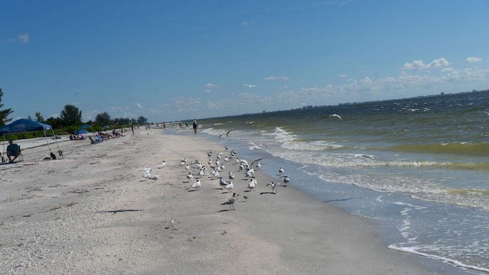 Gulf Breeze Cottages Sanibel Eksteriør bilde